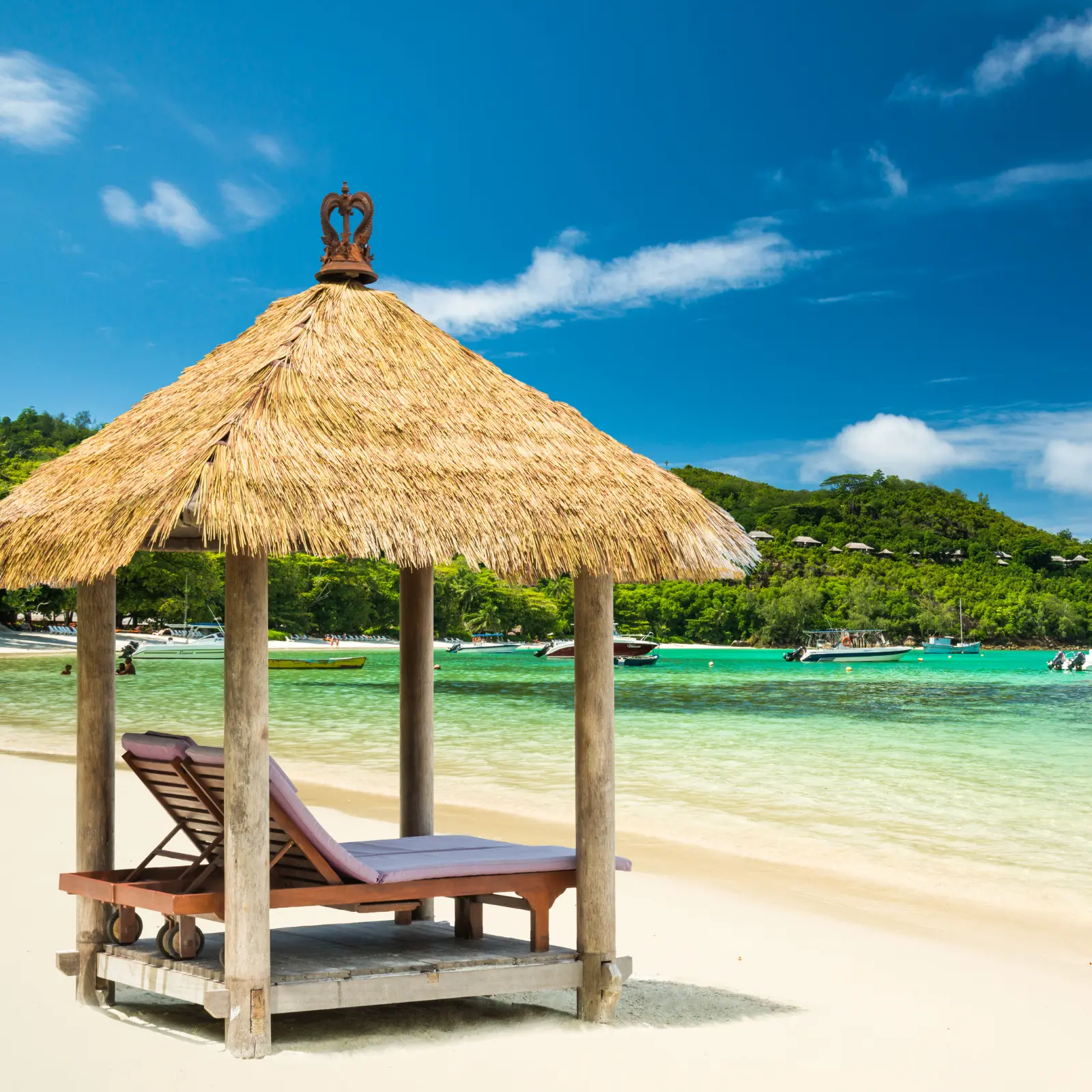Zanzibar spice island and culture