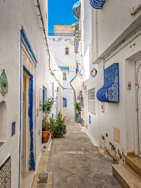 Sidi Bou Said near Tunis