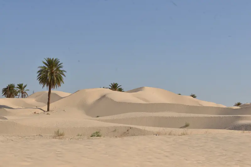 Tunis Tunisia travel guide