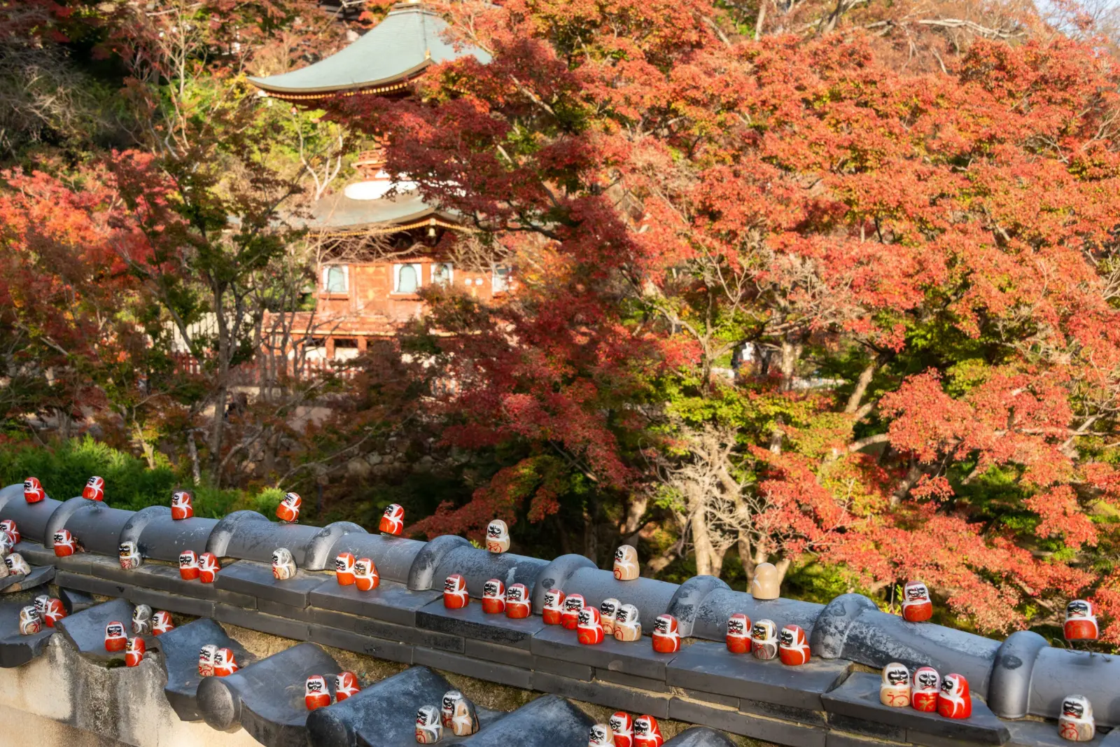 Tokyo Japan airport transfer service