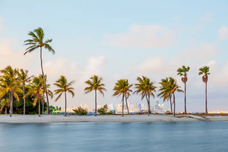 Miami airport transfers and city skyline
