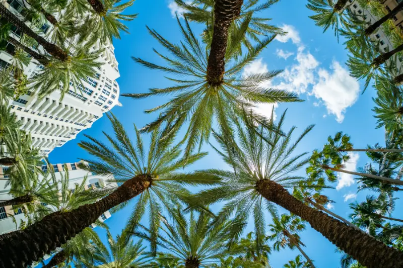 Miami travel guide beach and city