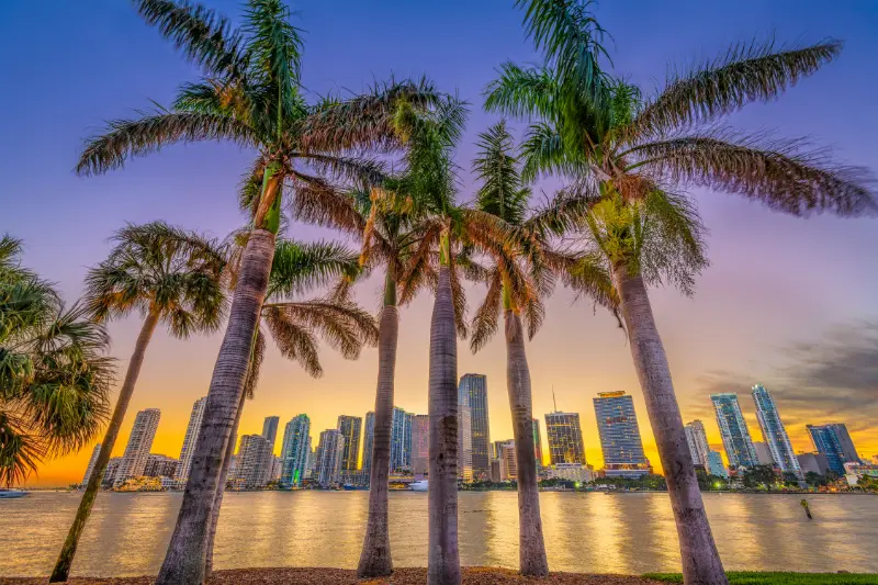 Miami city and travel guide